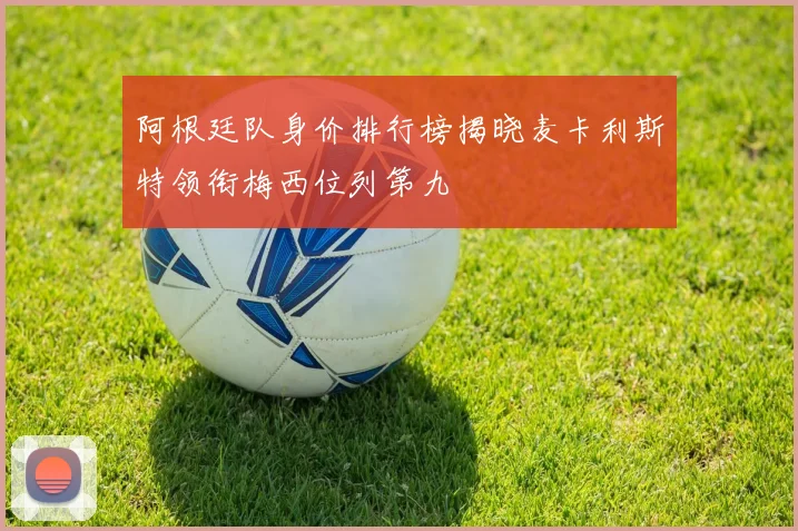 阿根廷队身价排行榜揭晓麦卡利斯特领衔梅西位列第九