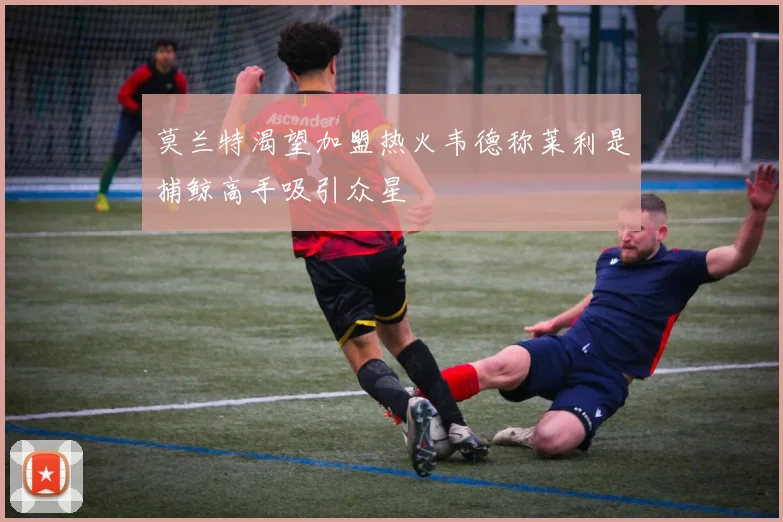 莫兰特渴望加盟热火韦德称莱利是捕鲸高手吸引众星