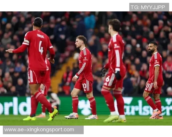 英媒独家报道利物浦关注葡体后卫迪奥曼德施洛特贝克仍为首选