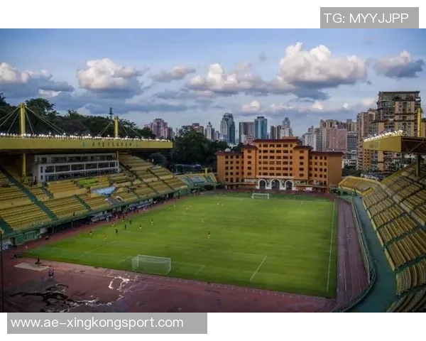 丰臻谈北京情况复杂市政府与体育局未能领导苏州工作